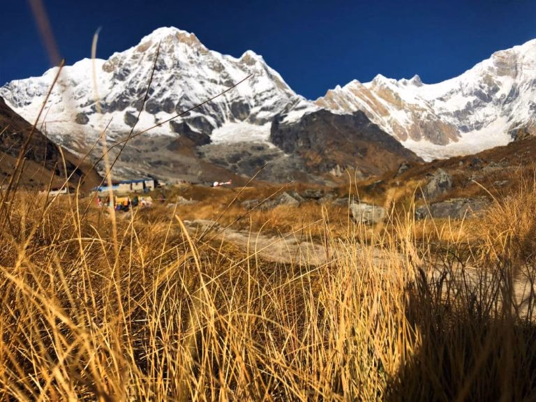 Annapurna South captured from bushes