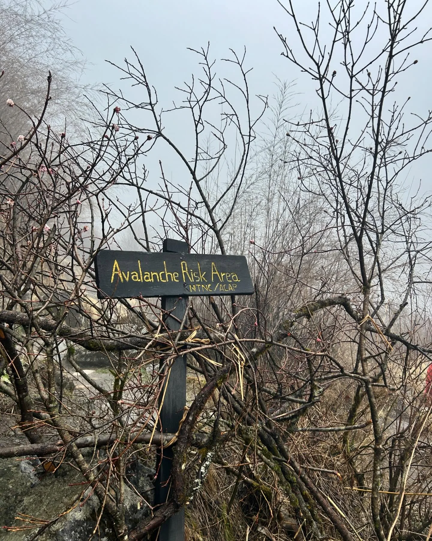 Avalanche Prone Area in ABC Trek