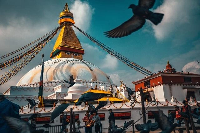 birds-flying-in-bouddhanath-stupa.webp