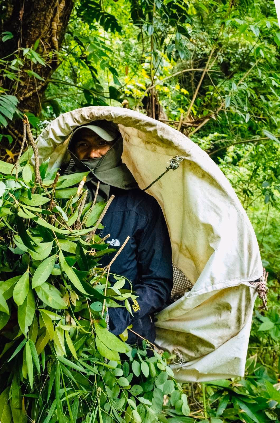Carefully camouflaged in the forest, preparing to harvest the rare and potent Mad honey from wild hives.