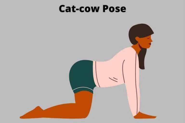 Cat cow pose