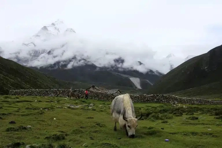 Cloudy days of the monsoon are the least favorable months for trekking to EBC