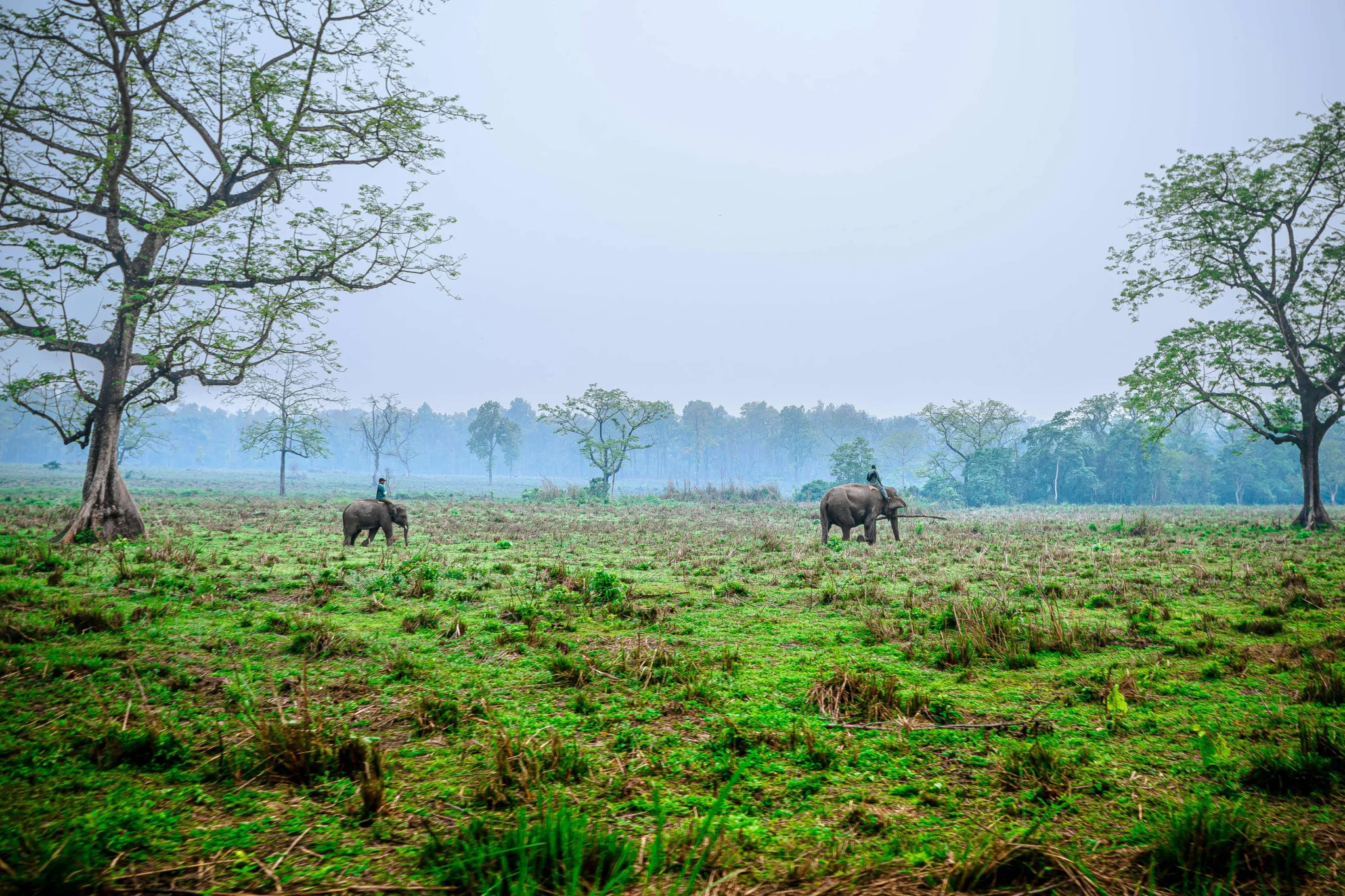 Chitwan National Park