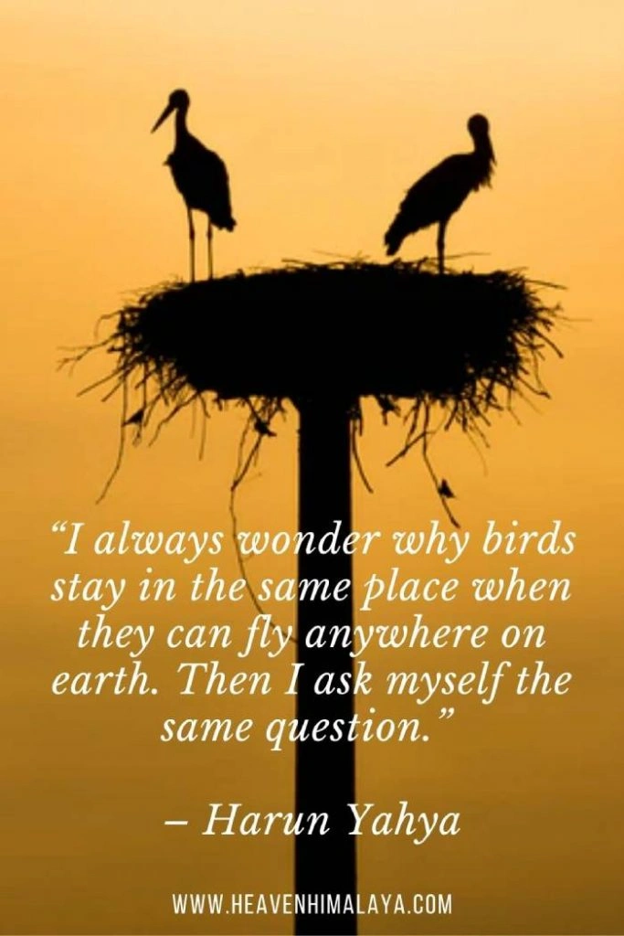 Harun Yahya quote