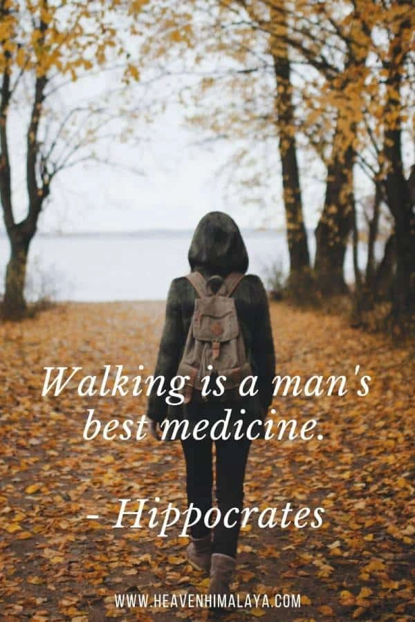 Hippocrates quote