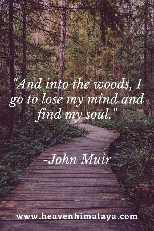 john-muir-quote-1.webp