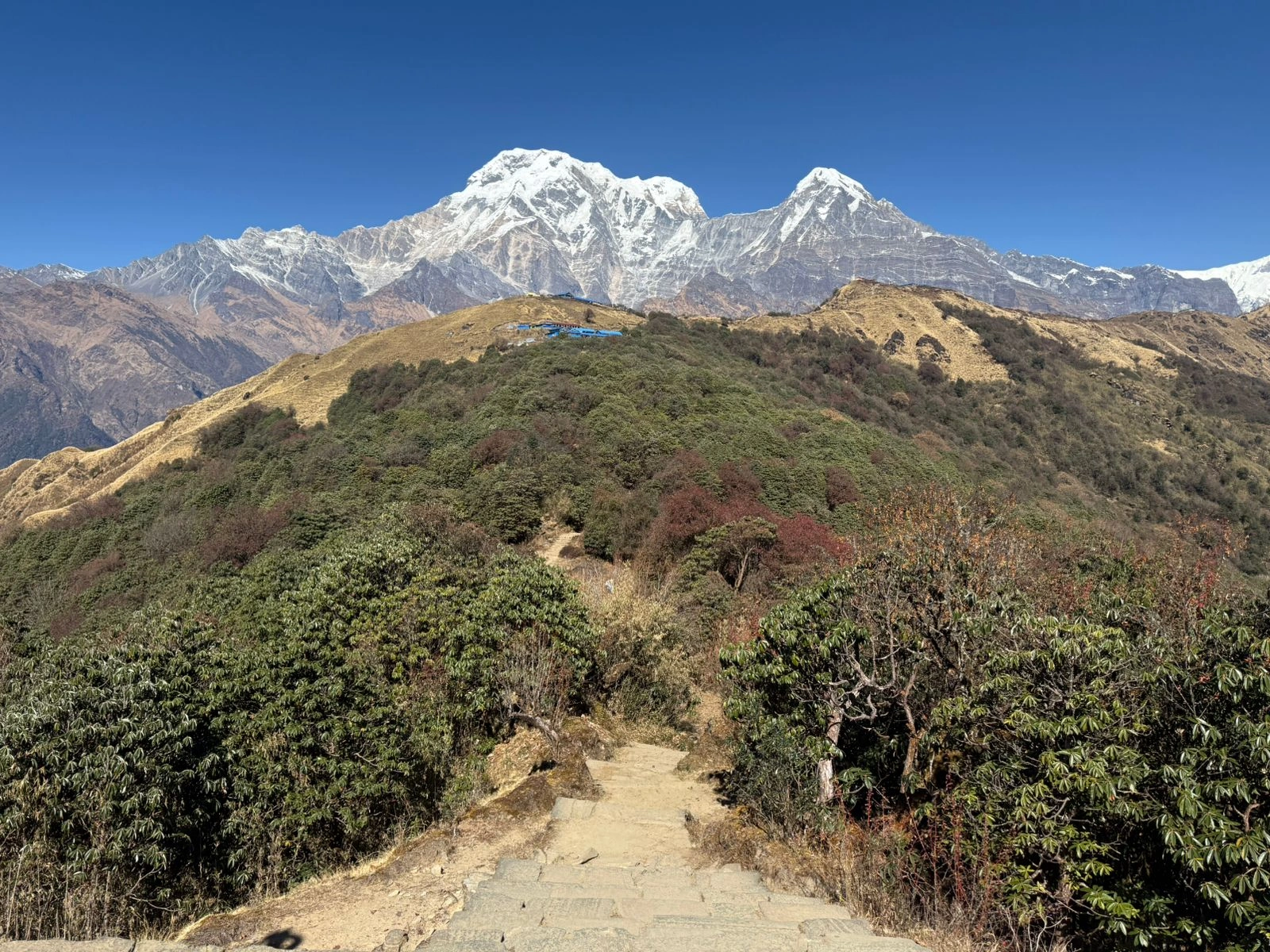mardi-view-2.webp