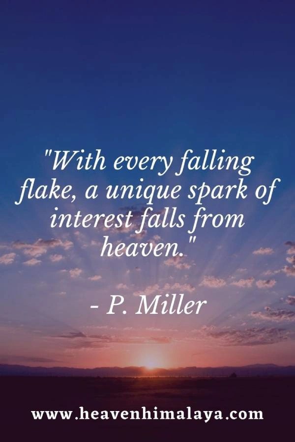 miller-quote.webp