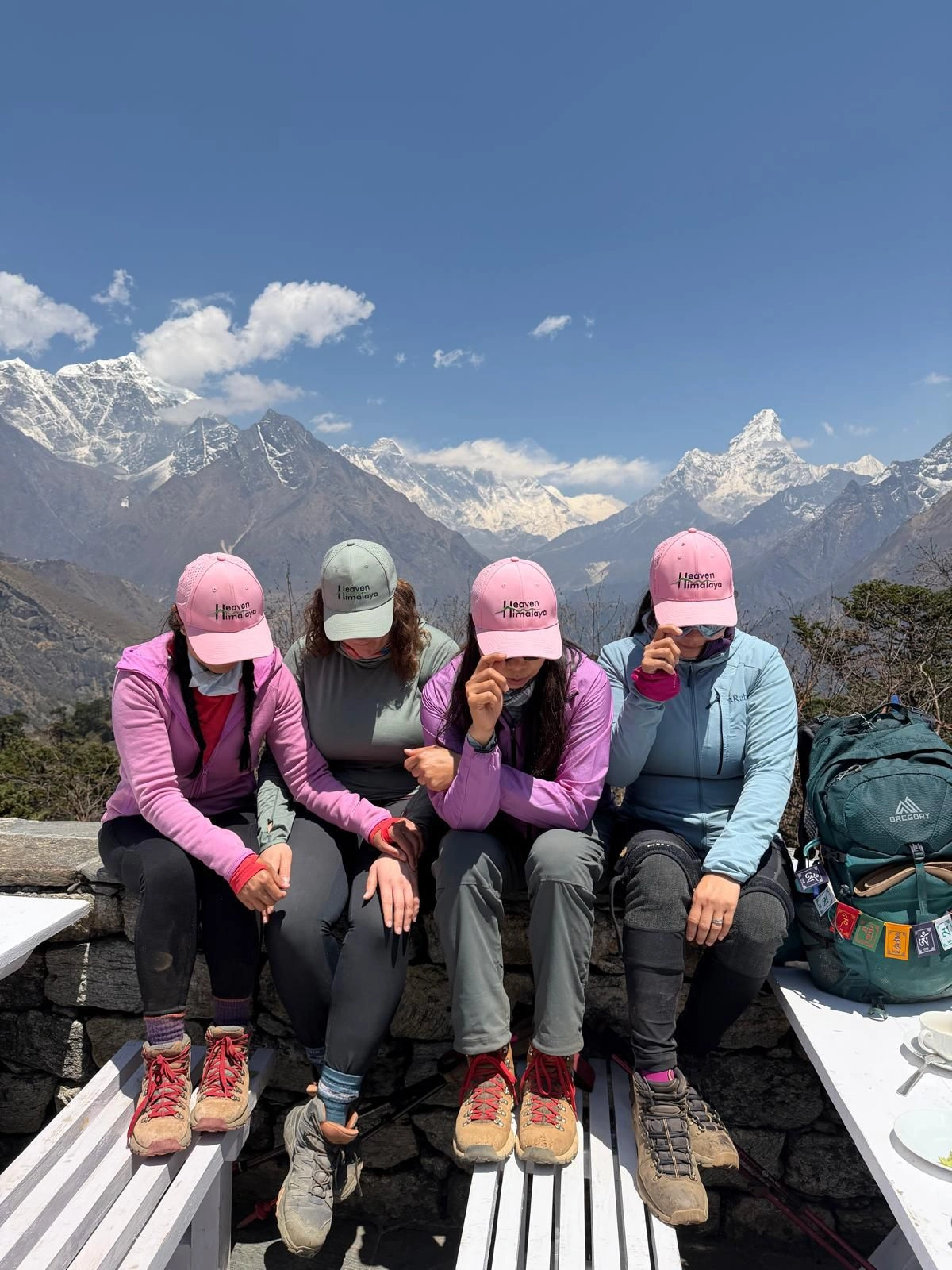 Everest View Hotel