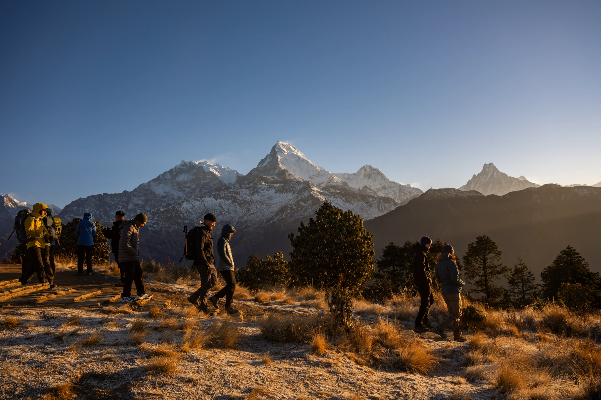 returning-from-poon-hill-after-looking-at-the-mesmorizing-view-of-annapurna.webp