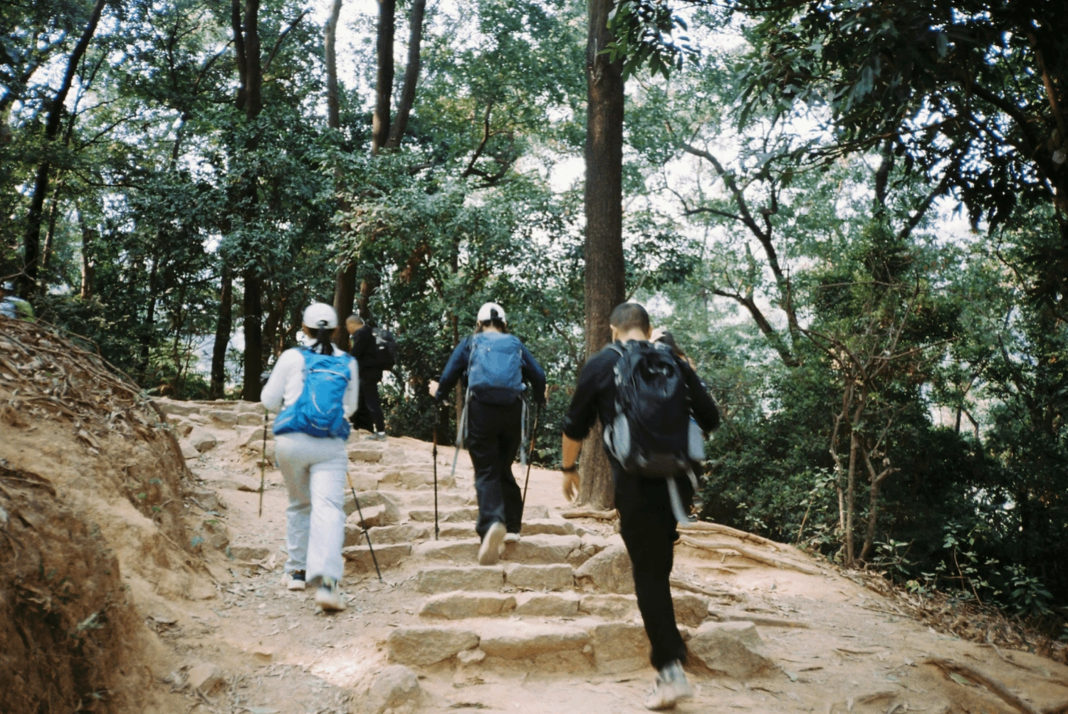 Short hike training