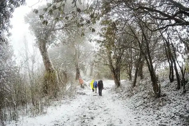 Snow in the hiking trail in Khopra, Annapurna