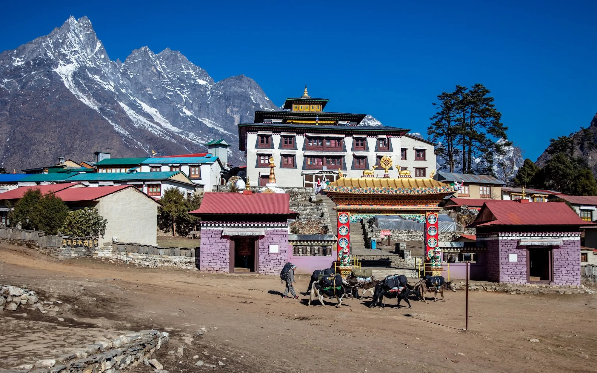 tengboche-monastery.webp