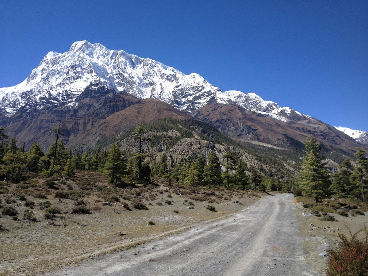 Trail in the Annapurna region