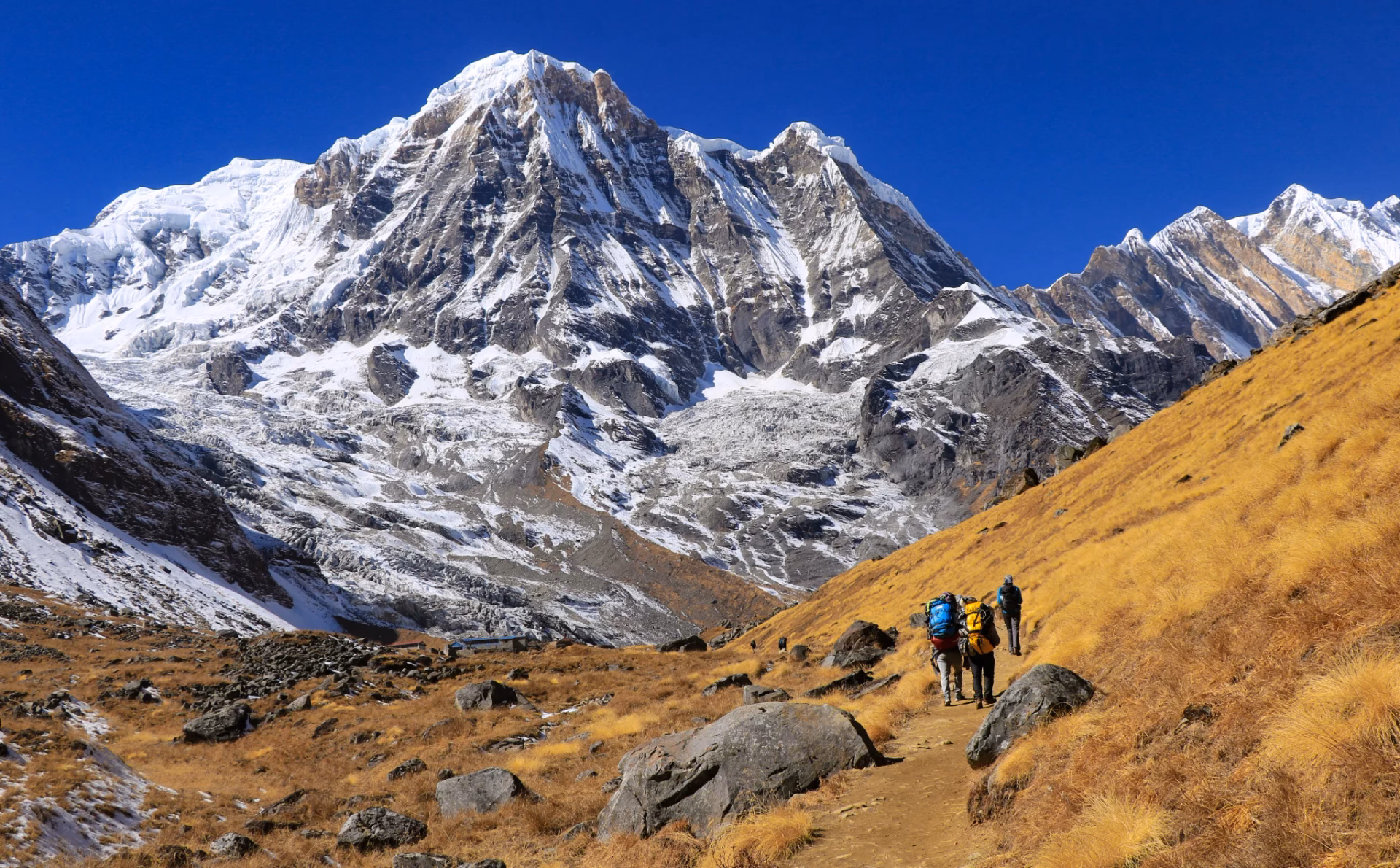 trekkers-on-their-way-to-annapurna-base-camp.avif