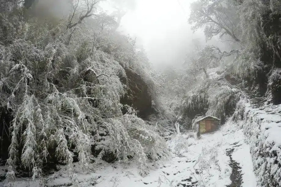 winter in the himalayas